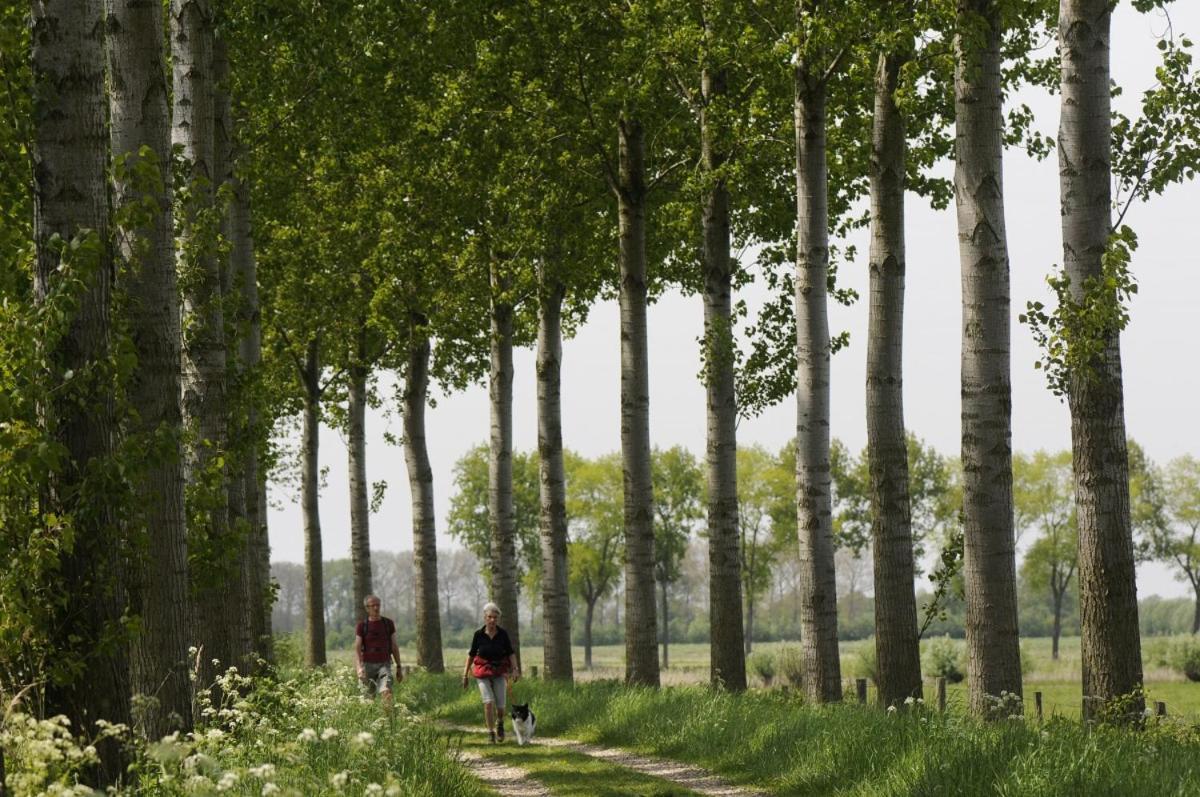 'Relax Lodge Sea' - Wellness Lodge In Zeeland - Private Sauna - Airco - Garden - Outdoor Swimming Pool - Free Wifi, Towels & Bed Linen Heinkenszand Luaran gambar
